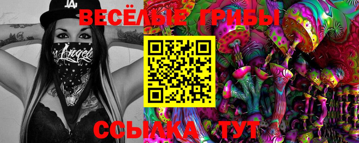 Ипатово  Псилоцибиновые грибы Psilocybe  Вход с VPN 